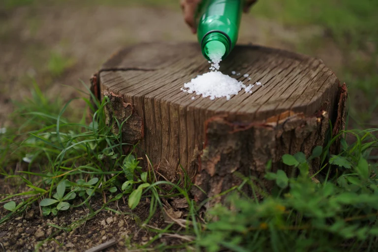 comment tuer un arbre